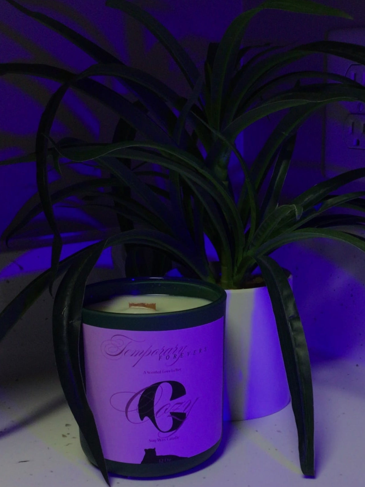 Cozy