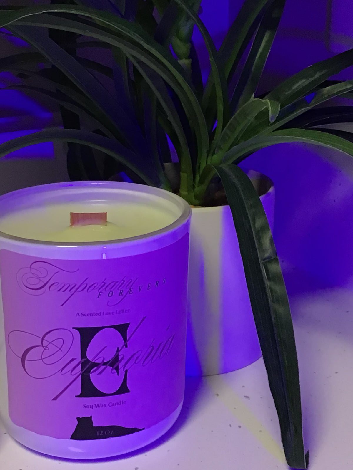 Euphoria - W